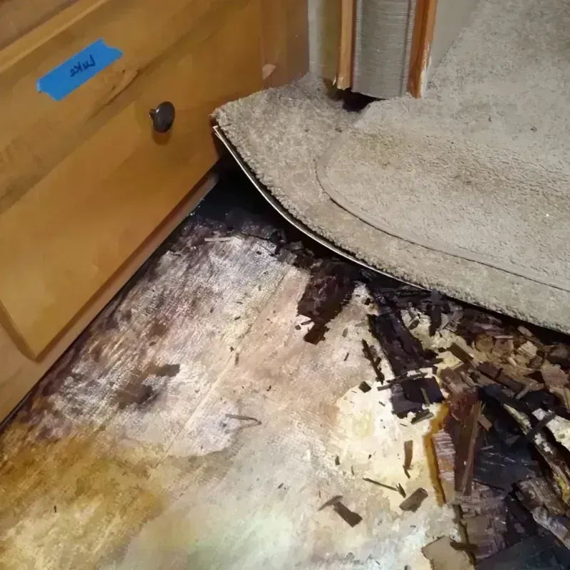 Best Wood Floor Water Damage Service in North Springfield, VA